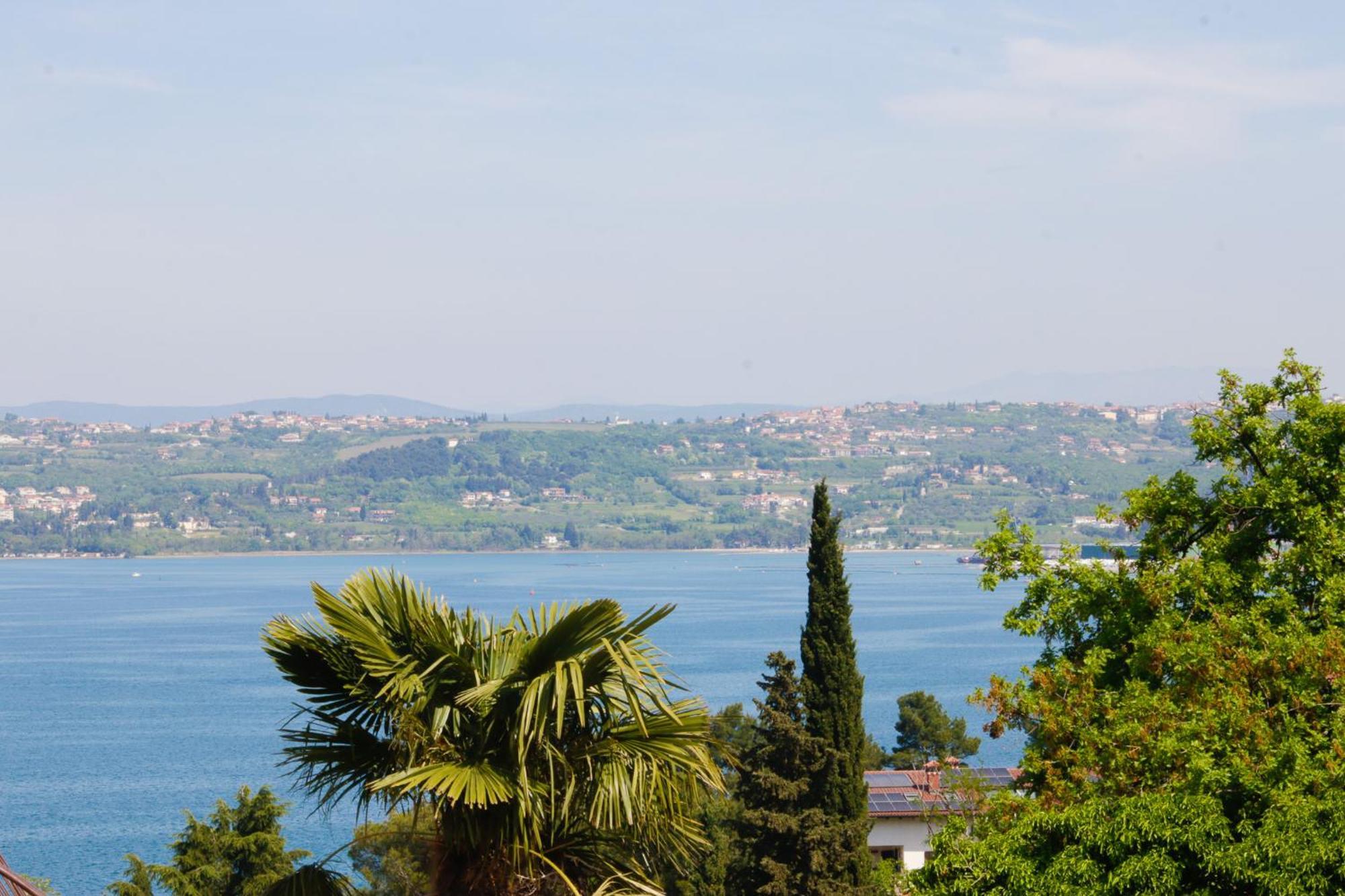 Bivalvia Apartments Koper Bagian luar foto